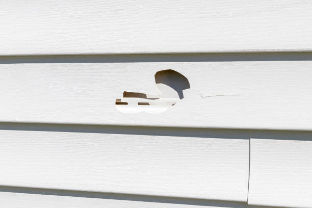 Best Siding Painting and Refinishing  in Seabrook, SC